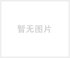 VS-600外抽真空包装机